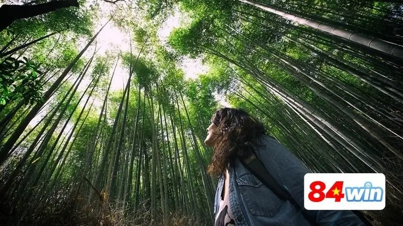 Nằm mơ thấy đi lạc không biết đường về cho biết điều gì